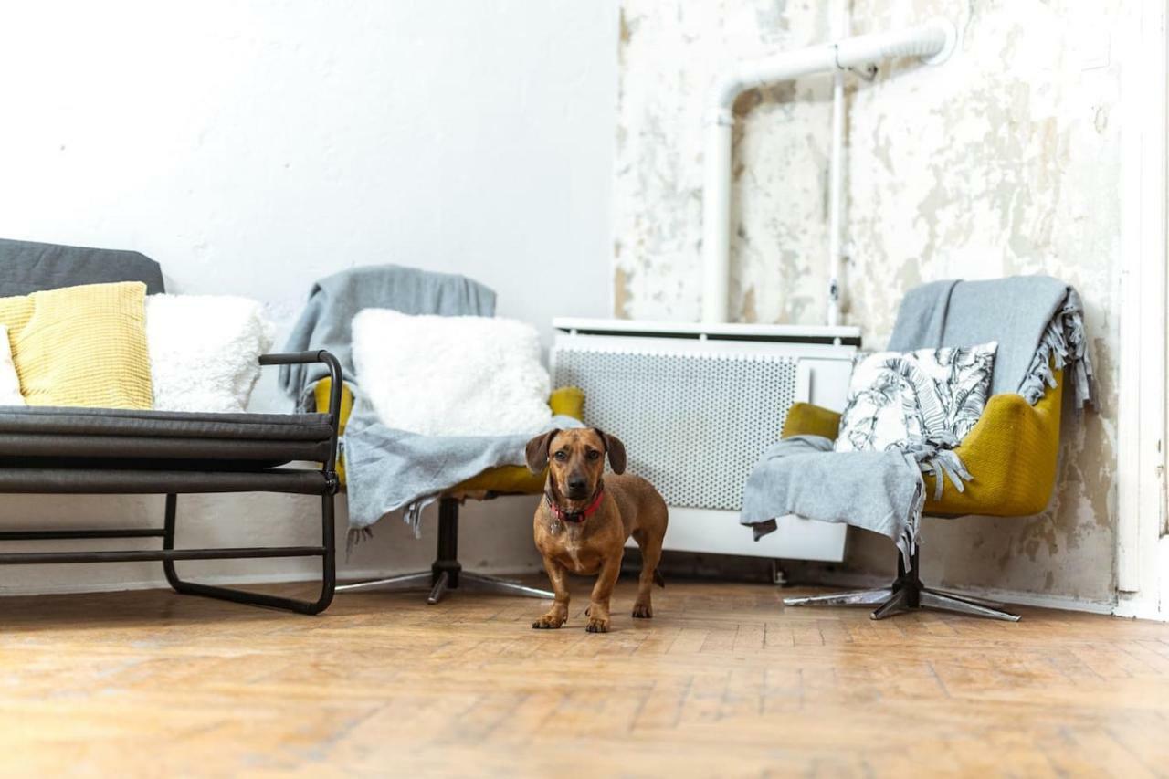 A Szoba Apartman Печ Экстерьер фото